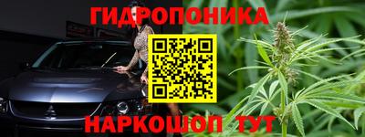 сатива Краснодар
