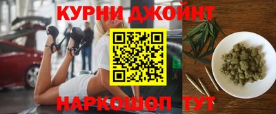 сатива Краснодар